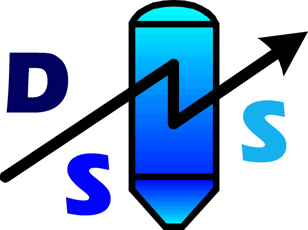Logotipo DSS™